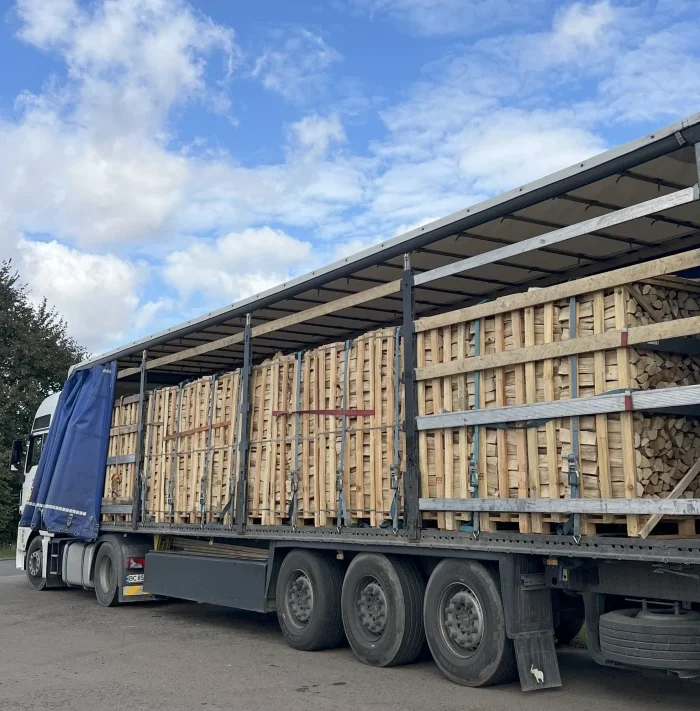 LKW Brennholz Hainbuche Buche 22 Paletten ( 44 RM ) 25 / 33cm